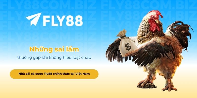 Những sai lầm thường gặp khi không hiểu luật chấp trong đá gà