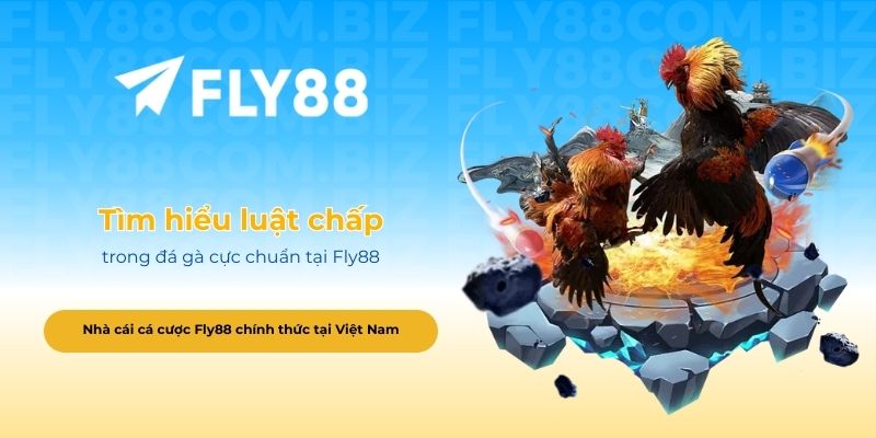 Tìm hiểu luật chấp trong đá gà cực chuẩn tại Fly88